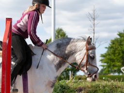 IMG_0611_web